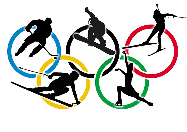 zimní olympijské hry